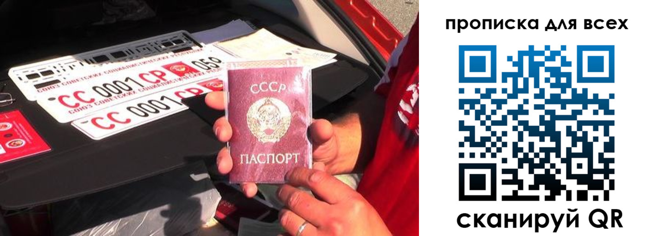 прописка иностранных граждан в Палласовке